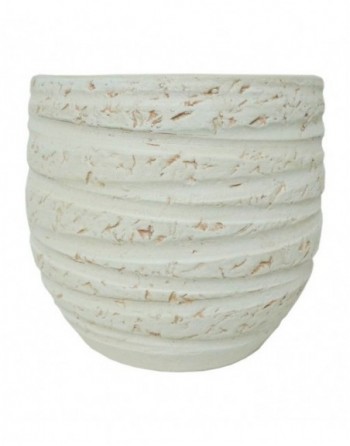 Vaso 50580