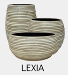 LEXIA