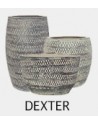 DEXTER