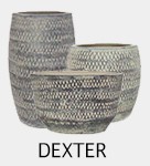DEXTER
