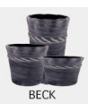 BECK